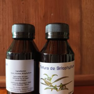 Tintura de Briophyllum x 100 ml