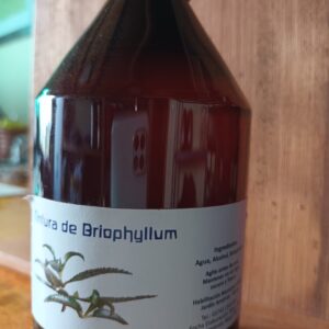 Tintura Briophyllum x 500 ml